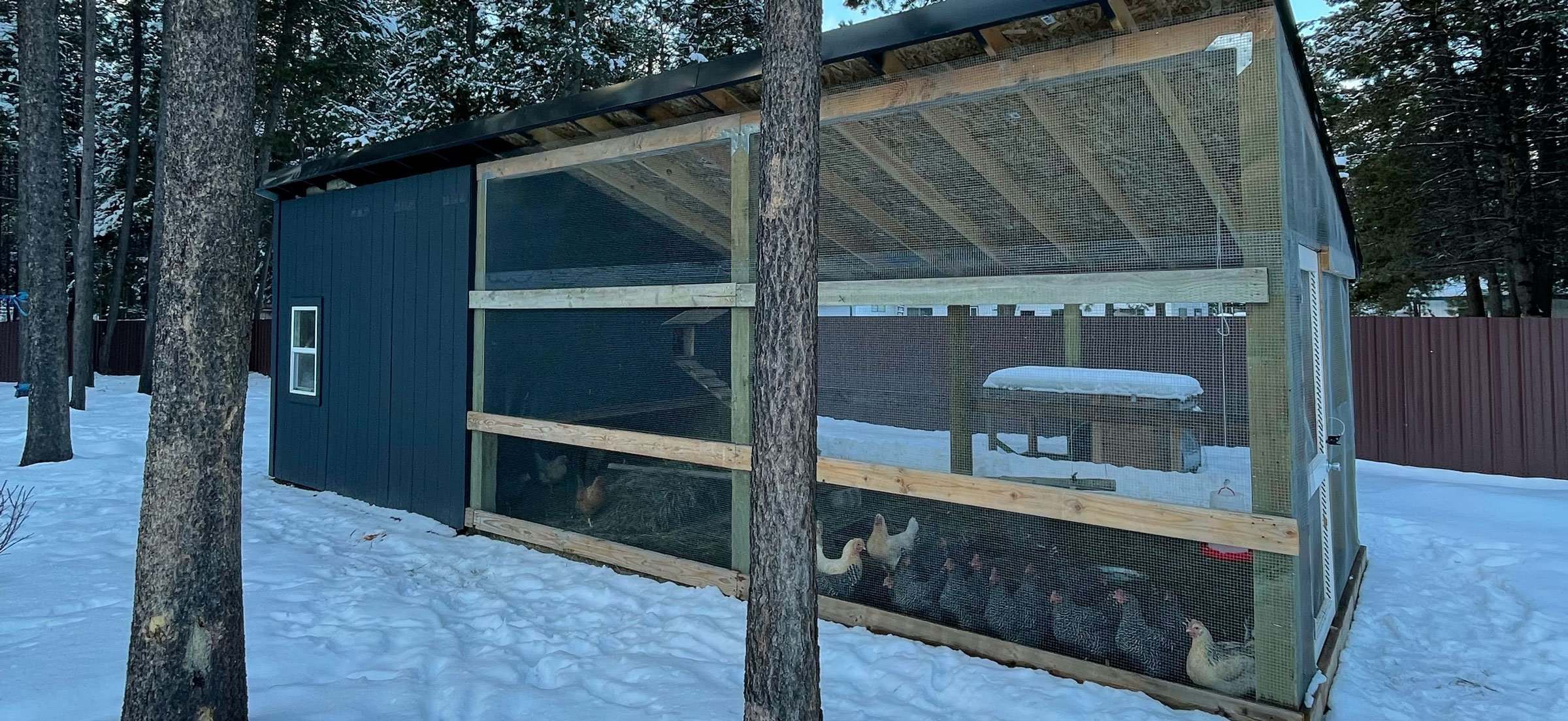 We finished Our Chicken Coop, and here is what we learned about doing hard things